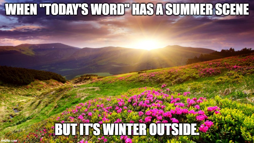 Wrong Word | WHEN "TODAY'S WORD" HAS A SUMMER SCENE; BUT IT'S WINTER OUTSIDE. | image tagged in field of flowers | made w/ Imgflip meme maker