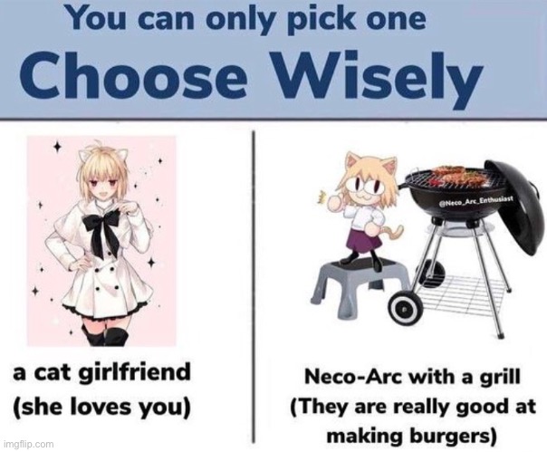 I’m choosing the Neco arc I dunno bout y’all | made w/ Imgflip meme maker