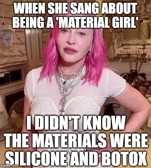 madonna again | WHEN SHE SANG ABOUT BEING A 'MATERIAL GIRL'; I DIDN'T KNOW THE MATERIALS WERE SILICONE AND BOTOX | image tagged in madonna,youth,aged | made w/ Imgflip meme maker