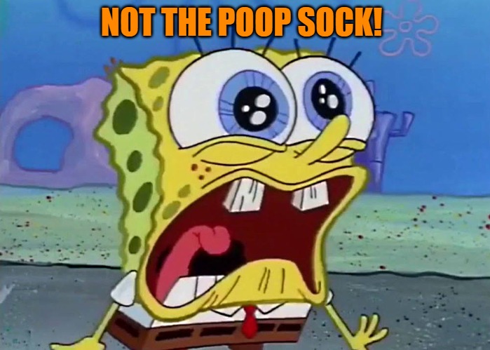 NOT THE POOP SOCK! | image tagged in spongebob | made w/ Imgflip meme maker