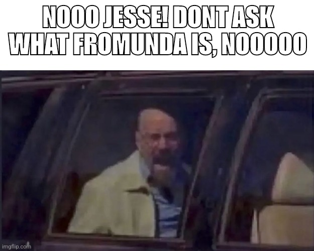 NOOO JESSE! DONT ASK WHAT FROMUNDA IS, NOOOOO | made w/ Imgflip meme maker