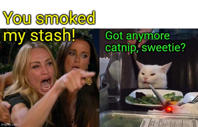 Woman Yelling At Cat | You smoked my stash! Got anymore catnip, sweetie? | image tagged in memes,woman yelling at cat | made w/ Imgflip meme maker