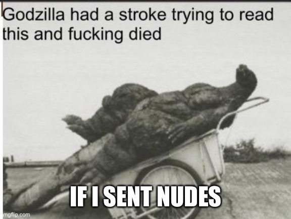 Godzilla | IF I SENT NUDES | image tagged in godzilla | made w/ Imgflip meme maker