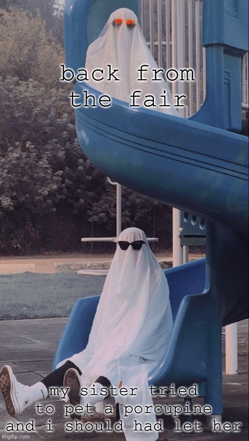 Slide ghosts | back from the fair; my sister tried to pet a porcupine and i should had let her | image tagged in slide ghosts | made w/ Imgflip meme maker