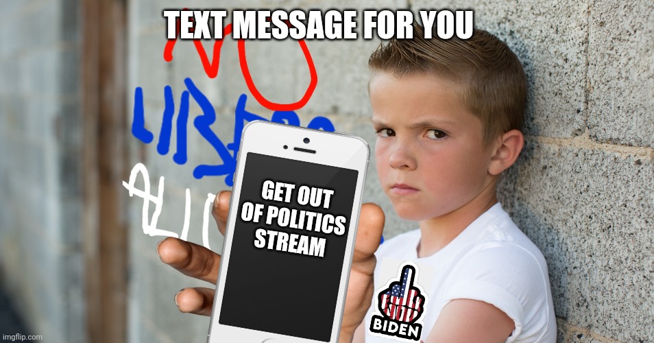 GET OUT OF POLITICS STREAM TEXT MESSAGE FOR YOU | made w/ Imgflip meme maker