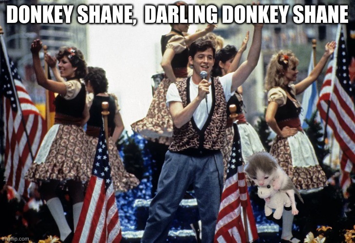 For fun | DONKEY SHANE,  DARLING DONKEY SHANE | image tagged in ferris bueller | made w/ Imgflip meme maker