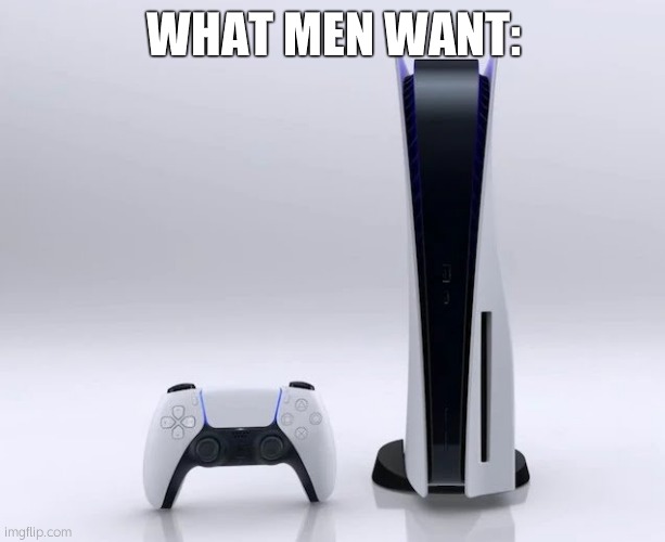 Ps5 | WHAT MEN WANT: | image tagged in ps5 | made w/ Imgflip meme maker