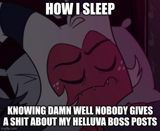HOW I SLEEP; KNOWING DAMN WELL NOBODY GIVES A SHIT ABOUT MY HELLUVA BOSS POSTS | made w/ Imgflip meme maker