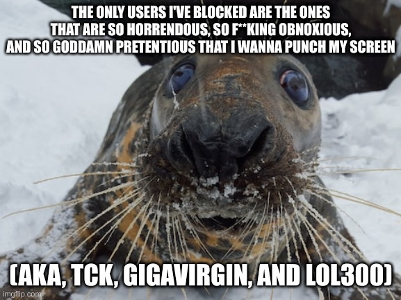 his name's bim bim | THE ONLY USERS I'VE BLOCKED ARE THE ONES THAT ARE SO HORRENDOUS, SO F**KING OBNOXIOUS, AND SO GODDAMN PRETENTIOUS THAT I WANNA PUNCH MY SCREEN; (AKA, TCK, GIGAVIRGIN, AND LOL300) | image tagged in his name's bim bim | made w/ Imgflip meme maker