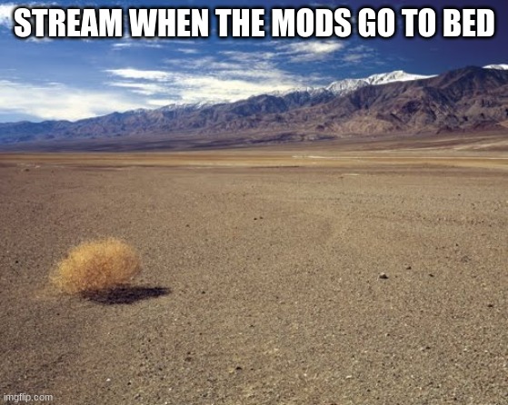 desert tumbleweed | STREAM WHEN THE MODS GO TO BED | image tagged in desert tumbleweed | made w/ Imgflip meme maker