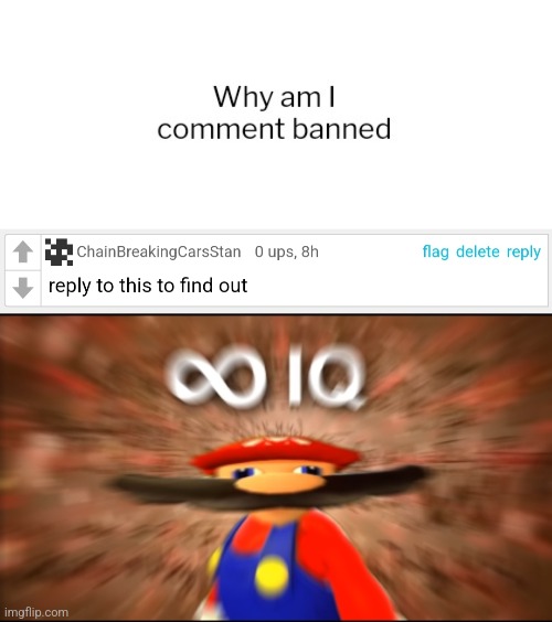 image tagged in infinity iq mario | made w/ Imgflip meme maker