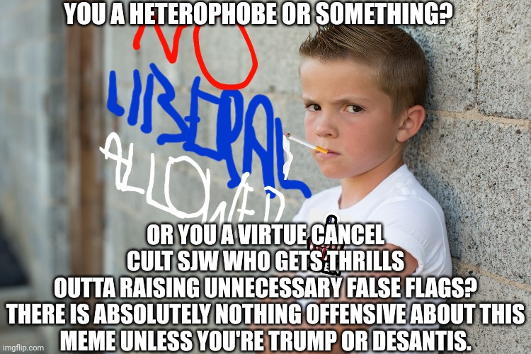 YOU A HETEROPHOBE OR SOMETHING? OR YOU A VIRTUE CANCEL CULT SJW WHO GETS THRILLS OUTTA RAISING UNNECESSARY FALSE FLAGS?

THERE IS ABSOLUTELY | made w/ Imgflip meme maker