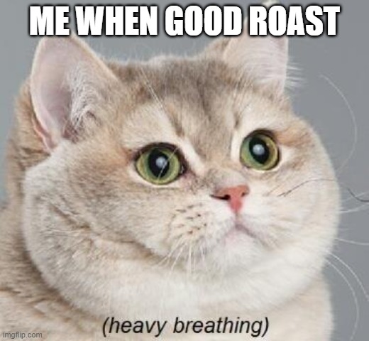 m | ME WHEN GOOD ROAST | image tagged in memes,heavy breathing cat | made w/ Imgflip meme maker