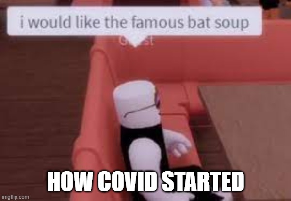 bat soup | HOW COVID STARTED | image tagged in roblox,covid-19,batman | made w/ Imgflip meme maker
