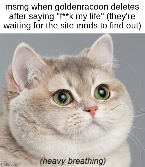 yeah no, we're all f**ked now | msmg when goldenracoon deletes after saying "f**k my life" (they're waiting for the site mods to find out) | image tagged in memes,heavy breathing cat | made w/ Imgflip meme maker