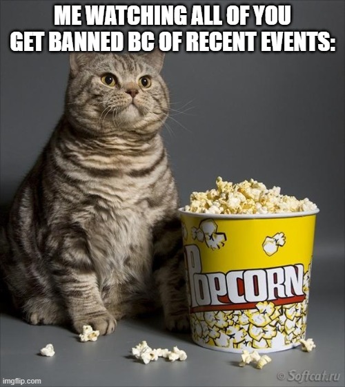 Cat eating popcorn | ME WATCHING ALL OF YOU GET BANNED BC OF RECENT EVENTS: | image tagged in cat eating popcorn | made w/ Imgflip meme maker
