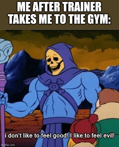 I don't like to feel good | ME AFTER TRAINER TAKES ME TO THE GYM: | image tagged in i don't like to feel good | made w/ Imgflip meme maker