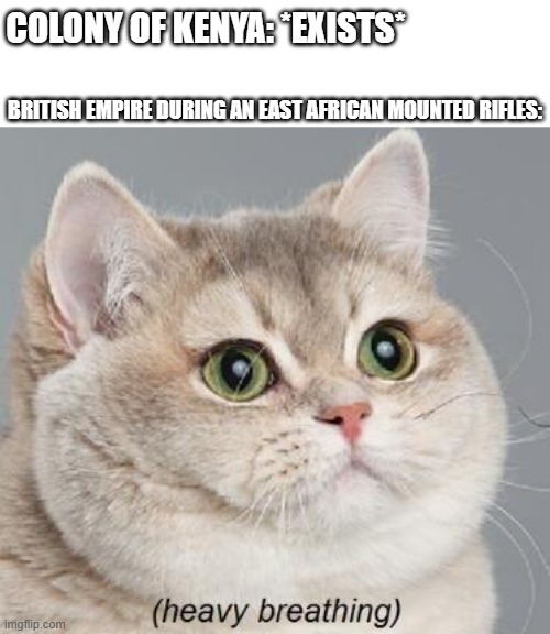 East African Mounted Rifles that can be during times | COLONY OF KENYA: *EXISTS*; BRITISH EMPIRE DURING AN EAST AFRICAN MOUNTED RIFLES: | image tagged in memes,heavy breathing cat | made w/ Imgflip meme maker