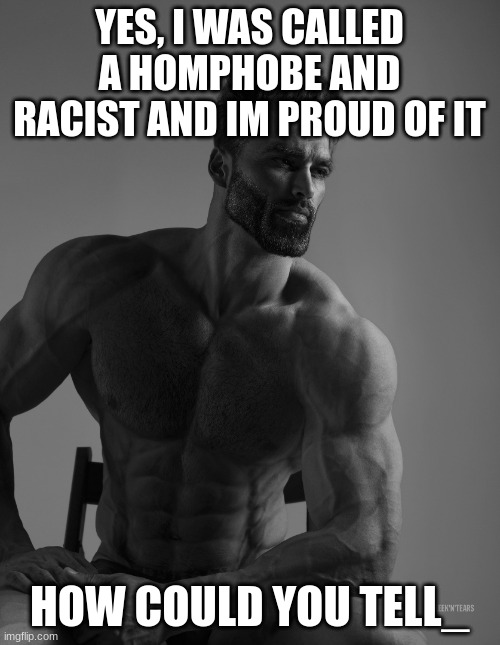 Giga Chad | YES, I WAS CALLED A HOMPHOBE AND RACIST AND IM PROUD OF IT HOW COULD YOU TELL_ | image tagged in giga chad | made w/ Imgflip meme maker