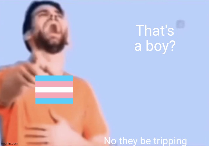Laughing and pointing | That's a boy? No they be tripping | image tagged in laughing and pointing | made w/ Imgflip meme maker