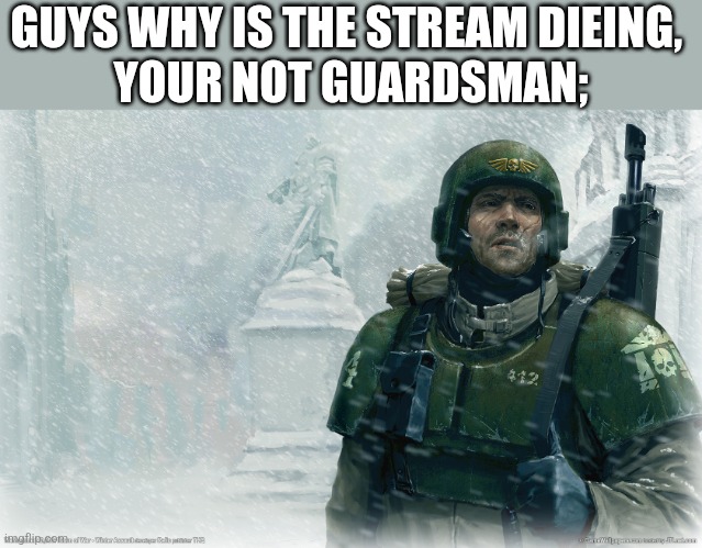 40k imperial guardsman snow | GUYS WHY IS THE STREAM DIEING, 
YOUR NOT GUARDSMAN; | image tagged in 40k imperial guardsman snow | made w/ Imgflip meme maker