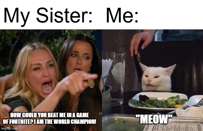 Sister and Brother | My Sister:; Me:; HOW COULD YOU BEAT ME IN A GAME OF FORTNITE? I AM THE WORLD CHAMPION! "MEOW" | image tagged in memes,woman yelling at cat | made w/ Imgflip meme maker