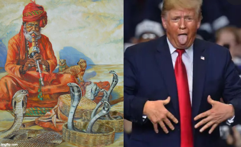 Snake charmer | image tagged in memes,trump,snake charmer | made w/ Imgflip meme maker