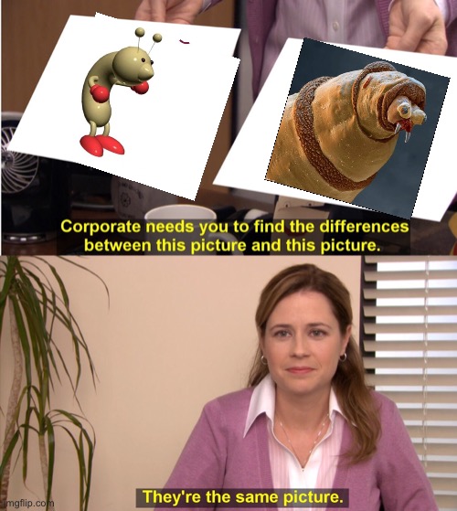 They're The Same Picture | image tagged in memes,they're the same picture | made w/ Imgflip meme maker