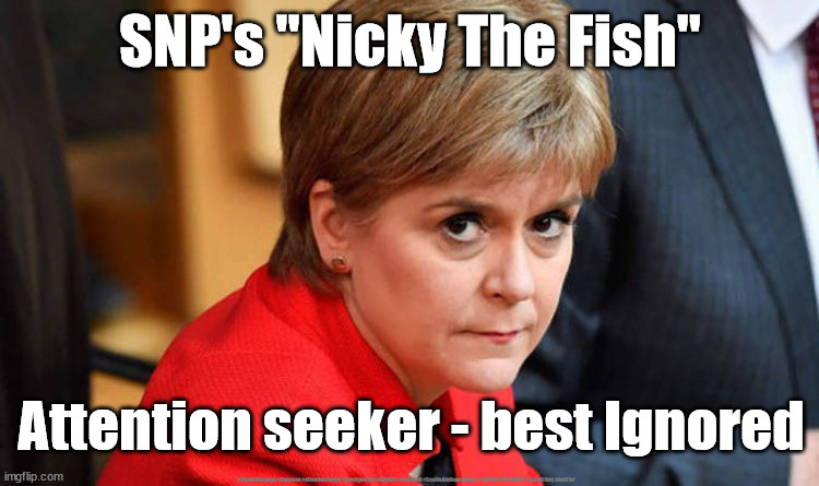 Nicky the Fish - SNP | SNP's "Nicky The Fish"; Attention seeker - best Ignored; #NicolaSturgeon #Sturgeon #AttentionSeeker #BestIgnored #IndyRef2 #Scotland #ScottishIndependence; "I DETEST THE TORIES"; and all they stand for | image tagged in nicola sturgeon,snp hate,sturgeon hate,scottish independence indyref2,attention seeker best ignored | made w/ Imgflip meme maker