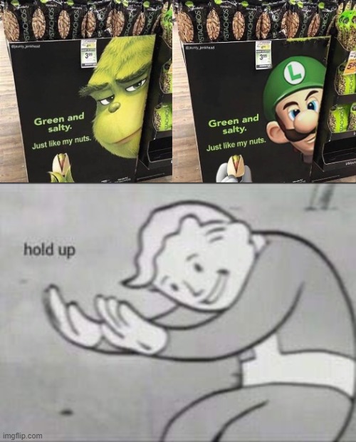 WTF- | image tagged in fallout hold up,grinch,luigi,wtf,dark humor | made w/ Imgflip meme maker