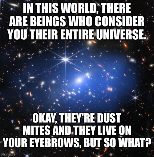 Universe | IN THIS WORLD, THERE ARE BEINGS WHO CONSIDER YOU THEIR ENTIRE UNIVERSE. OKAY, THEY'RE DUST MITES AND THEY LIVE ON YOUR EYEBROWS, BUT SO WHAT? | image tagged in dust | made w/ Imgflip meme maker