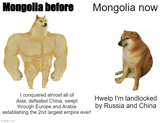 Mon go lia |  Mongolia before; Mongolia now; I conquered almost all of Asia, defeated China, swept through Europe and Arabia establishing the 2nd largest empire ever! Hwelp I'm landlocked by Russia and China | image tagged in memes,buff doge vs cheems,country,historical meme,history memes | made w/ Imgflip meme maker
