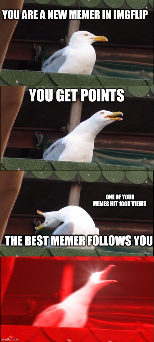 Yes 9 | YOU ARE A NEW MEMER IN IMGFLIP; YOU GET POINTS; ONE OF YOUR MEMES HIT 100K VIEWS; THE BEST MEMER FOLLOWS YOU | image tagged in memes,inhaling seagull | made w/ Imgflip meme maker