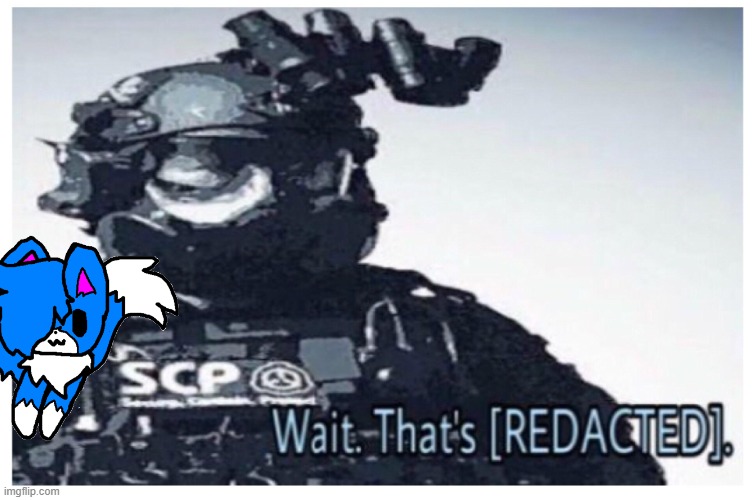 MTF [REDACTED] | image tagged in mtf redacted | made w/ Imgflip meme maker