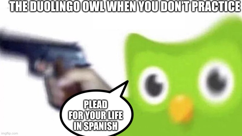 duolingo gun | THE DUOLINGO OWL WHEN YOU DON’T PRACTICE; PLEAD FOR YOUR LIFE IN SPANISH | image tagged in duolingo gun | made w/ Imgflip meme maker