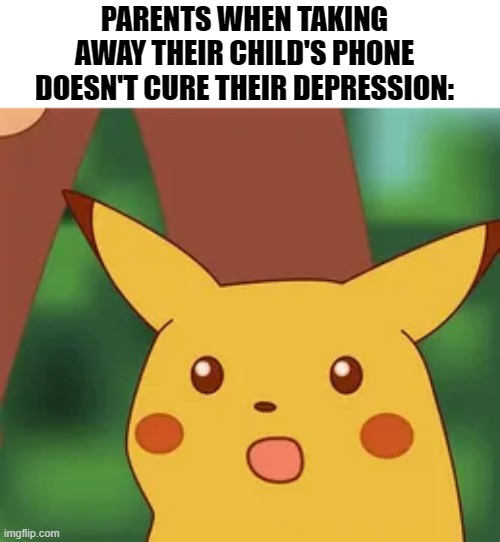 parent issues | PARENTS WHEN TAKING AWAY THEIR CHILD'S PHONE DOESN'T CURE THEIR DEPRESSION: | image tagged in parents | made w/ Imgflip meme maker