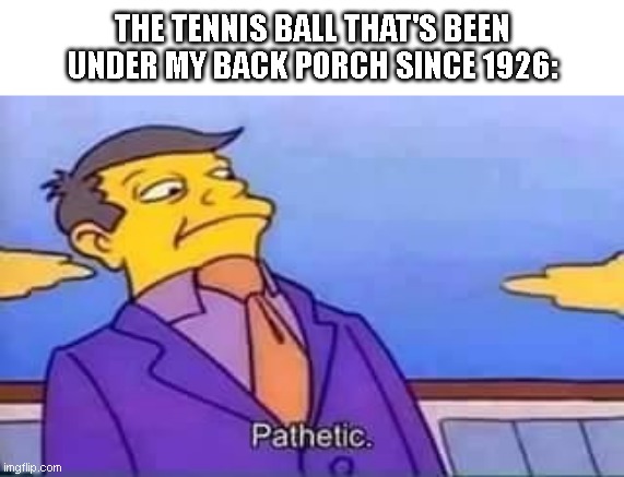 skinner pathetic | THE TENNIS BALL THAT'S BEEN UNDER MY BACK PORCH SINCE 1926: | image tagged in skinner pathetic | made w/ Imgflip meme maker