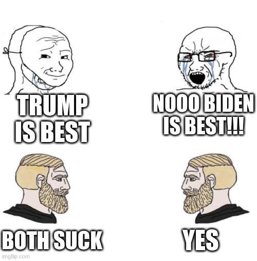 Lol | TRUMP IS BEST; NOOO BIDEN IS BEST!!! YES; BOTH SUCK | image tagged in chad we know | made w/ Imgflip meme maker
