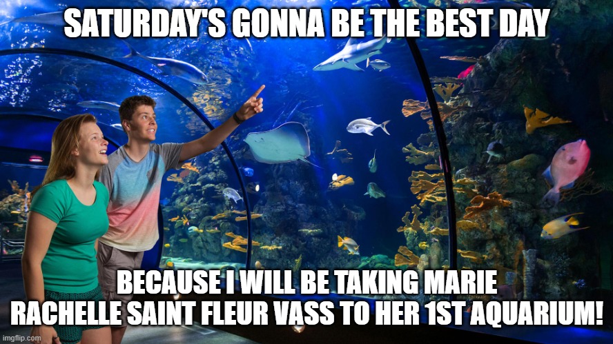 Marie's NEAQ adventure club isn't until Saturday! | SATURDAY'S GONNA BE THE BEST DAY; BECAUSE I WILL BE TAKING MARIE RACHELLE SAINT FLEUR VASS TO HER 1ST AQUARIUM! | image tagged in aquarium,fox,funny memes,boston | made w/ Imgflip meme maker