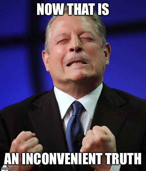 Al gore | NOW THAT IS AN INCONVENIENT TRUTH | image tagged in al gore | made w/ Imgflip meme maker