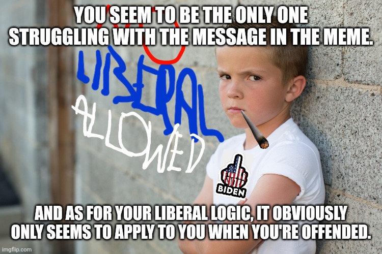 YOU SEEM TO BE THE ONLY ONE STRUGGLING WITH THE MESSAGE IN THE MEME. AND AS FOR YOUR LIBERAL LOGIC, IT OBVIOUSLY ONLY SEEMS TO APPLY TO YOU  | made w/ Imgflip meme maker