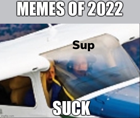 Bad Memes | MEMES OF 2022; SUCK | image tagged in idk | made w/ Imgflip meme maker