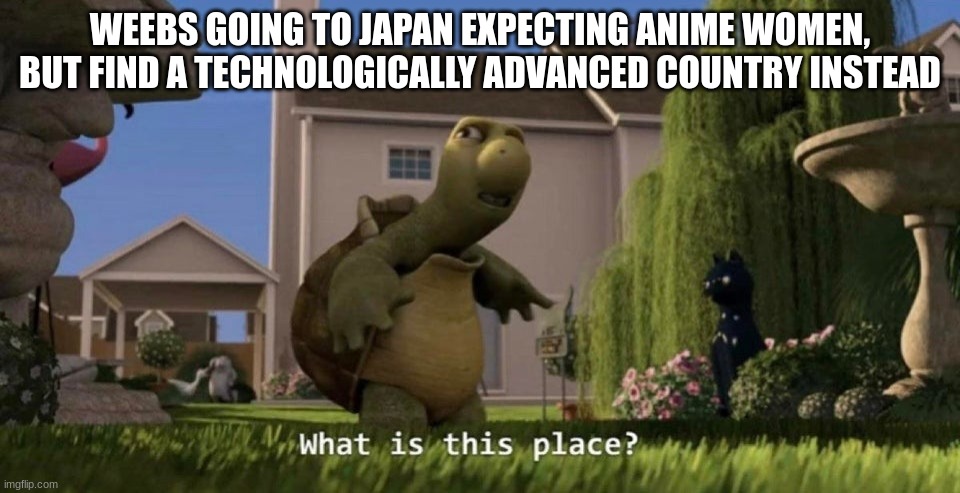I just wasted your time with a non-funny and unoriginal meme >:) | WEEBS GOING TO JAPAN EXPECTING ANIME WOMEN, BUT FIND A TECHNOLOGICALLY ADVANCED COUNTRY INSTEAD | image tagged in what is this place | made w/ Imgflip meme maker