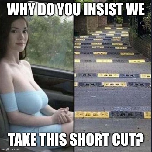 WHY DO YOU INSIST WE; TAKE THIS SHORT CUT? | image tagged in boobs | made w/ Imgflip meme maker