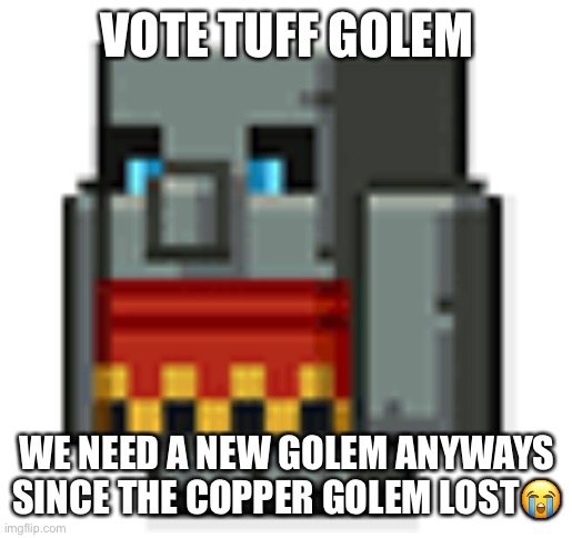 i stand by my choice | VOTE TUFF GOLEM; WE NEED A NEW GOLEM ANYWAYS SINCE THE COPPER GOLEM LOST😭 | image tagged in tuff golem | made w/ Imgflip meme maker