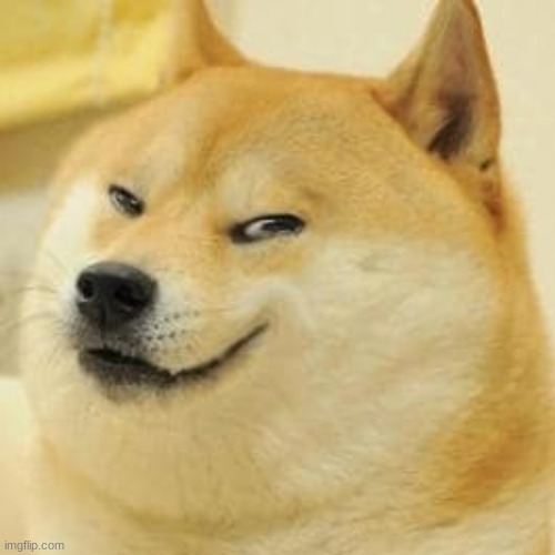 Doge smirk mem template | image tagged in doge smirk mem template | made w/ Imgflip meme maker