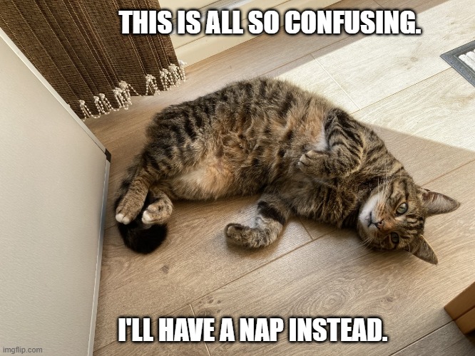 Confused Cat | THIS IS ALL SO CONFUSING. I'LL HAVE A NAP INSTEAD. | image tagged in sleeping cat,confused cat,cat,cats,funny cats | made w/ Imgflip meme maker