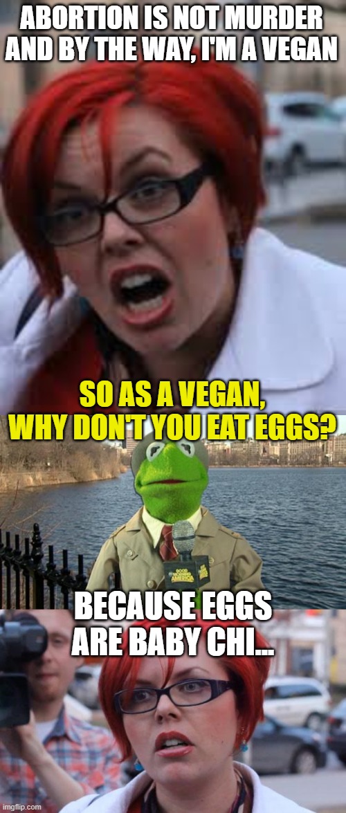  ABORTION IS NOT MURDER AND BY THE WAY, I'M A VEGAN; SO AS A VEGAN, WHY DON'T YOU EAT EGGS? BECAUSE EGGS ARE BABY CHI... | image tagged in sjw triggered,kermit news report,angry feminist | made w/ Imgflip meme maker