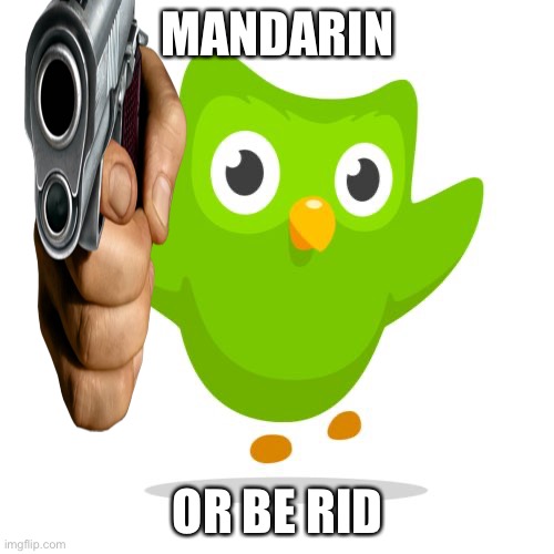Learn Mandarin :) | MANDARIN; OR BE RID | image tagged in mandarinorberid,duolingo | made w/ Imgflip meme maker