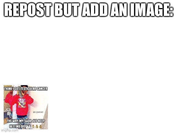 Blank White Template | REPOST BUT ADD AN IMAGE: | image tagged in blank white template | made w/ Imgflip meme maker